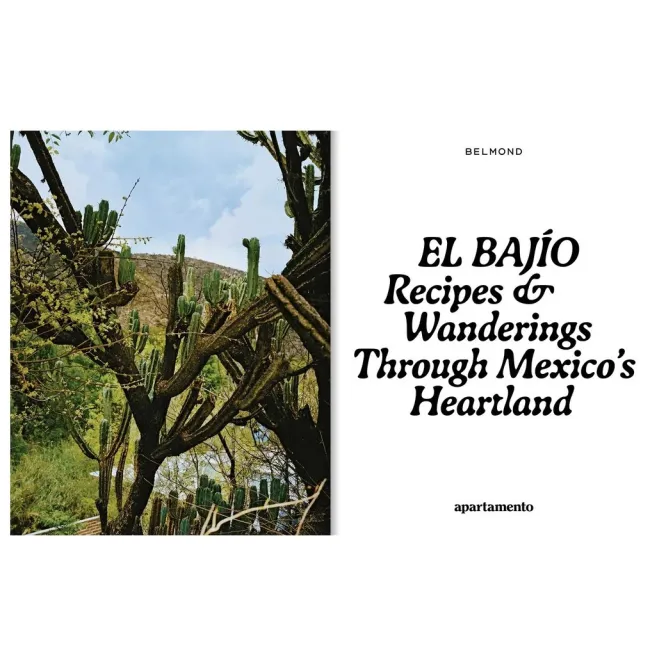 Album El Bajio