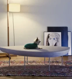 Ławka Konocha Sancal