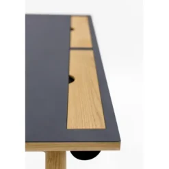 Biurko Kota Woodman