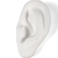 Dekoracja Memorabilia Mvsevm Ear Seletti