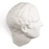 Dekoracja Mvsevm Discobolo Head Seletti