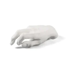 Dekoracja Mvsevm Male Hand Seletti