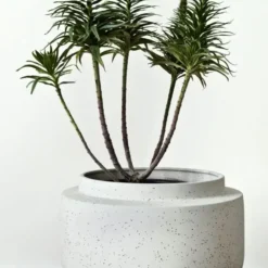 Donica Botanique 20 Cm Bolia