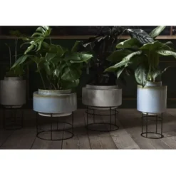 Donica Botanique 15 Cm Bolia