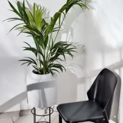 Donica Botanique 15 Cm Bolia
