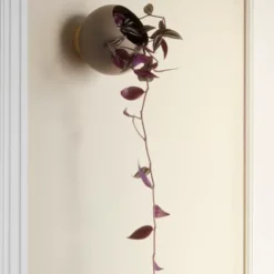 Donica Ścienna Globe 18,8 Cm Taupe Aytm
