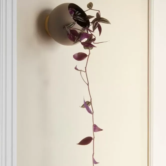 Donica Ścienna Globe 15,4 Cm Taupe Aytm