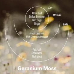 Kadzidełka Stożkowe Geranium Moss