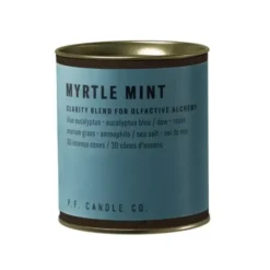 Kadzidełka Stożkowe Myrtle Mint