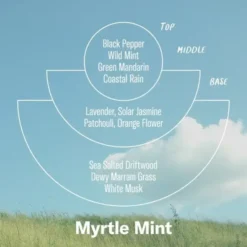 Kadzidełka Stożkowe Myrtle Mint