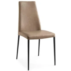 Krzesło Aida Cs1452-A Calligaris