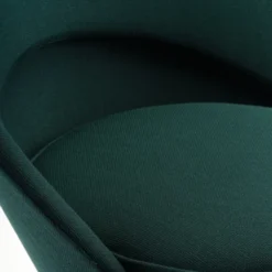 Krzesło Cone Volo Forest Vitra