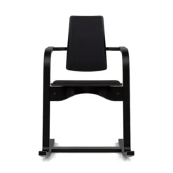 Krzesło Ergonomiczne Actulum Ciemnoszare, Czarne Drewno Varier