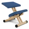 Krzesło Ergonomiczne Multi Ciemnoniebieskie, Reflect 774 Varier