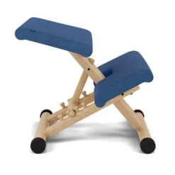 Krzesło Ergonomiczne Multi Ciemnoniebieskie, Reflect 774 Varier