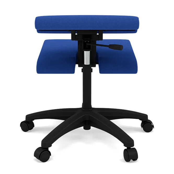 Krzesło Ergonomiczne Na Kółkach Wing Niebieskie, Divina 756 Varier