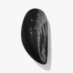 Misa Marcel 17 Cm Czarna Serax