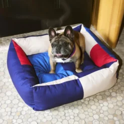 Obroża Dla Psa S/M Czerwono-Niebieska Hay
