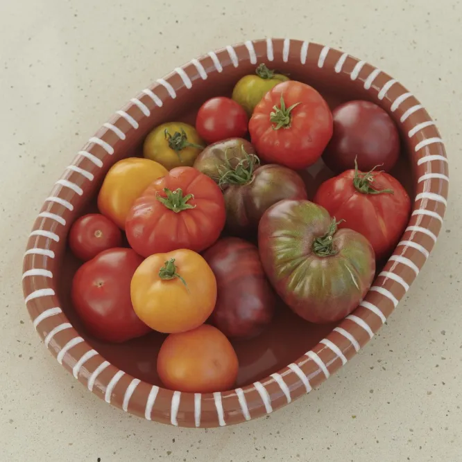 Półmisek Barro 27 Cm Brązowy Hay
