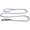 Smycz Dla Psa Niebiesko-Biała Hay