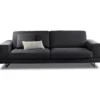 Sofa Dust