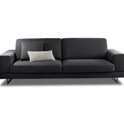 Sofa Dust