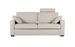 Sofa Phoenix Sits