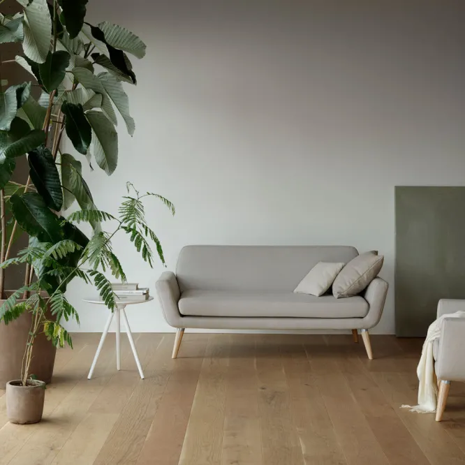 Sofa Scope Soft Line