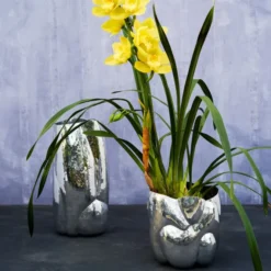 Wazon Cloud 24 Cm Tom Dixon